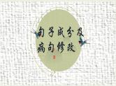 句子成分及病句修改 课件 初中语文中考复习