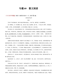 专题09 散文阅读-2024年中考语文真题分类汇编（全国通用）（教师卷+学生卷）