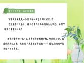 人教部编版（2024）语文七年级上册 第3单元  9 从百草园到三味书屋【第二课时】 PPT课件
