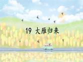 人教部编版（2024）语文七年级上册 第5单元 19 大雁归来 PPT课件