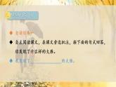 人教部编版（2024）语文七年级上册 第5单元 19 大雁归来 PPT课件