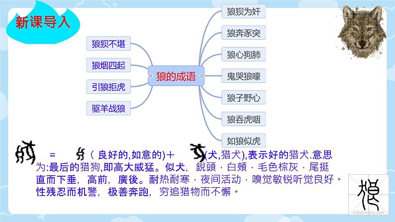 20 狼 课件 2024-2025学年统编版七年级语文上册02
