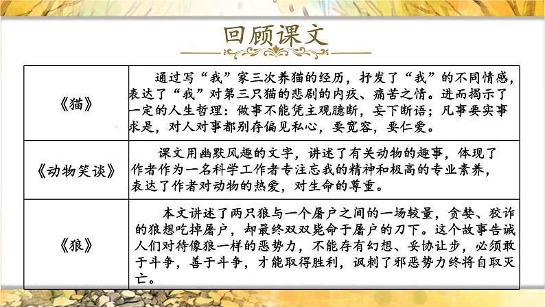 人教部编版（2024）语文七年级上册 第3单元 写作：如何突出中心【第一课时】 PPT课件05
