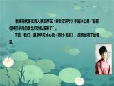 荷叶·母亲 课件 统编版（2024）初中语文七年级上册