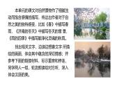 2024修订版部编语文七上第一单元《阅读综合实践》课件