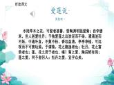爱莲说 课件 统编版（2024）初中语文七年级下册