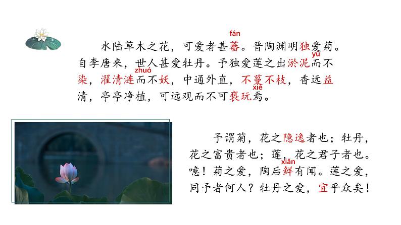 爱莲说 课件 统编版（2024）初中语文七年级下册06