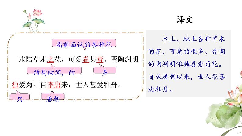 爱莲说 课件 统编版（2024）初中语文七年级下册07