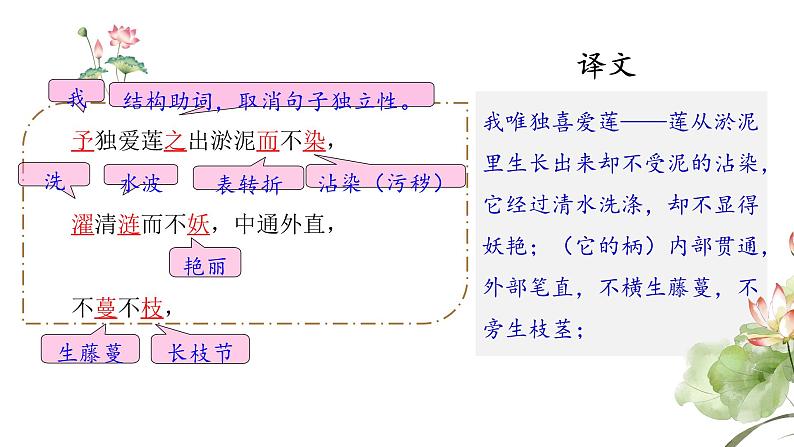 爱莲说 课件 统编版（2024）初中语文七年级下册08