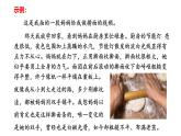 2024修订版部编语文七上第二单元《阅读综合实践》课件