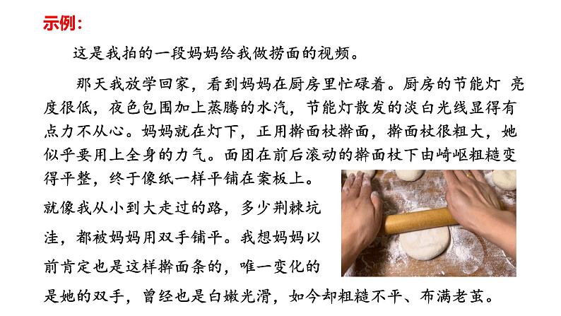 2024修订版部编语文七上第二单元《阅读综合实践》课件04