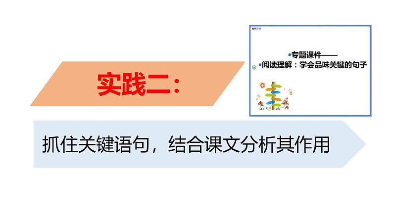 2024修订版部编语文七上第四单元《阅读综合实践》课件06