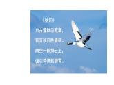 陋室铭  课件 统编版（2024）初中语文七年级下册