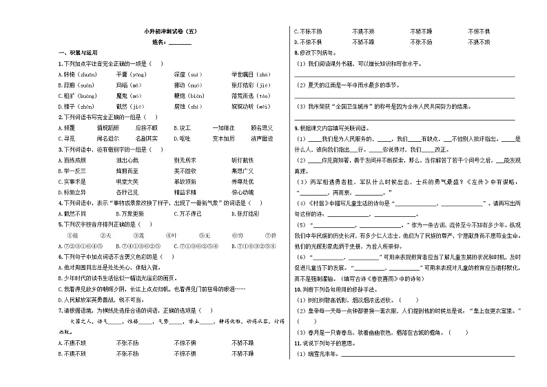 【入学分班考】小升初模拟冲刺试卷（五） - 2024-2025学年小升初模拟演练冲刺试卷  A3版 学生版第1页