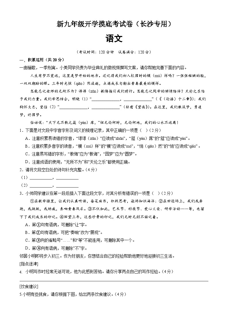 语文（长沙专用）（考试版）第1页