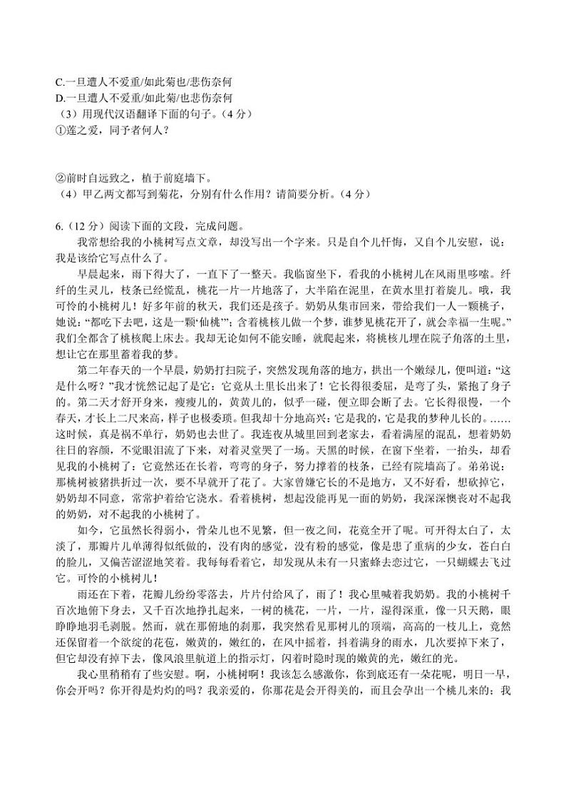 [语文][期末]福建省龙岩市上杭县2023～2024学年七年级下学期期末考试语文试卷(有答案)03