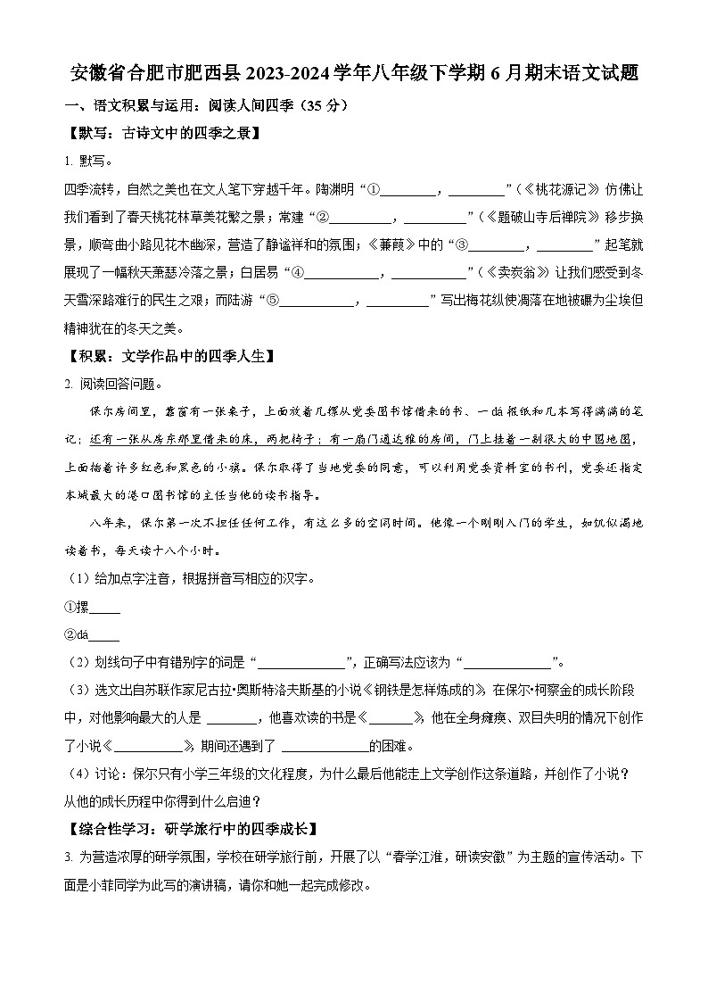 安徽省合肥市肥西县2023-2024学年八年级下学期期末语文试题（原卷版+解析版）01