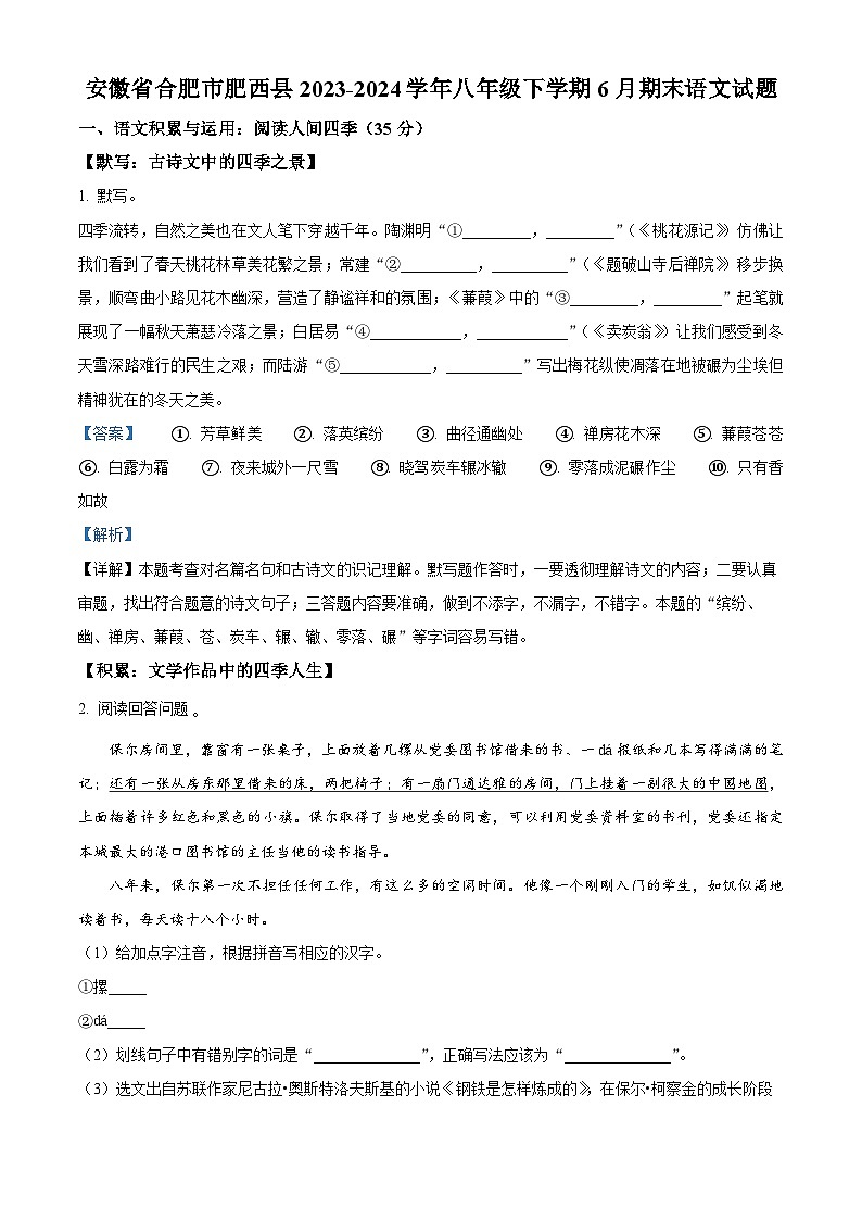 安徽省合肥市肥西县2023-2024学年八年级下学期期末语文试题（原卷版+解析版）01