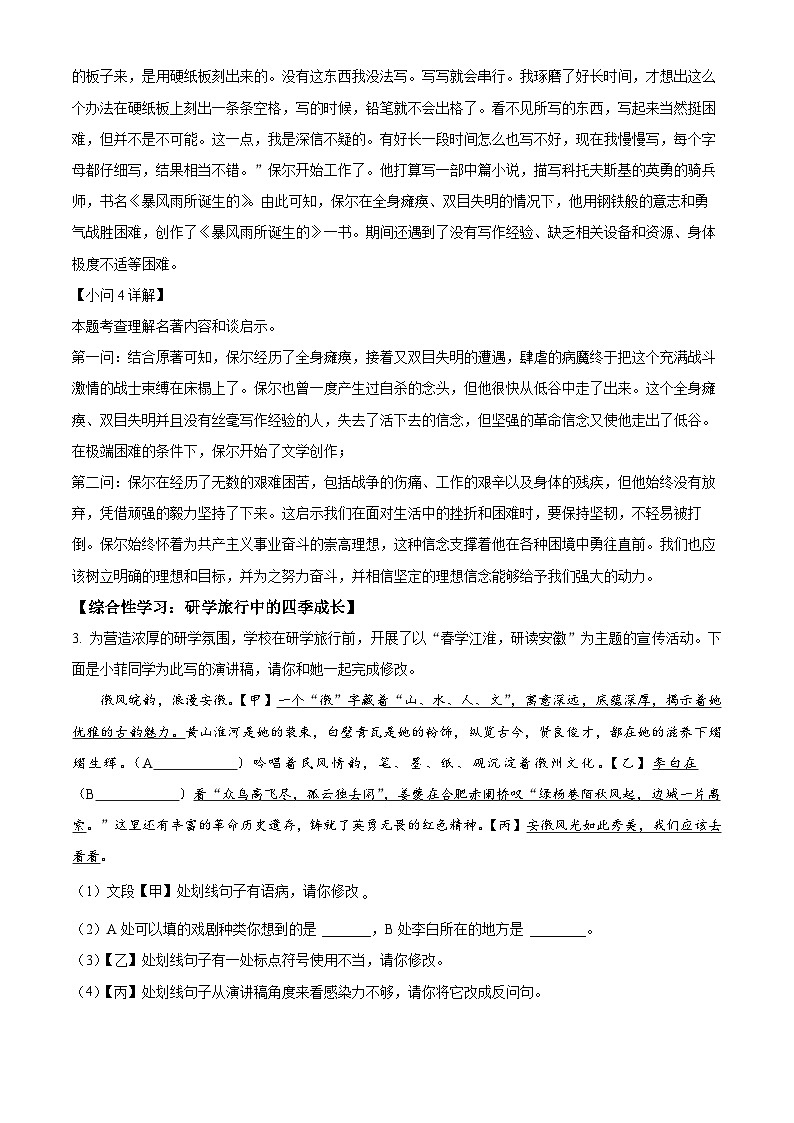 安徽省合肥市肥西县2023-2024学年八年级下学期期末语文试题（原卷版+解析版）03