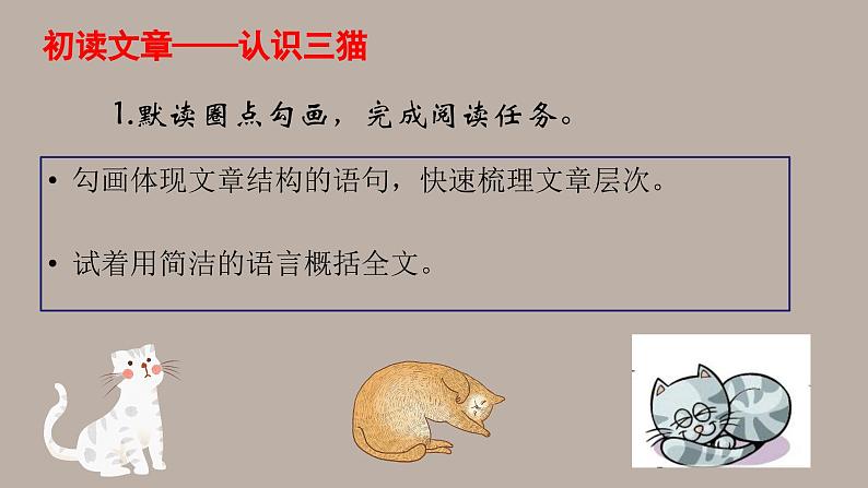 部编版语文七年级上册第五单元16课《猫》教案、课件、上课视频04