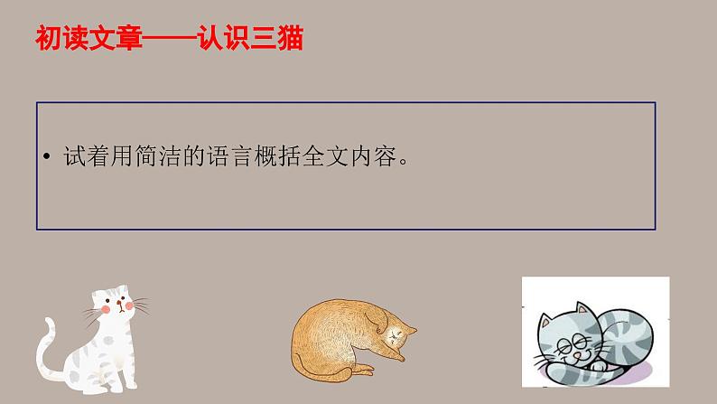 部编版语文七年级上册第五单元16课《猫》课件第6页