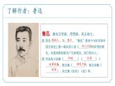 【核心素养】部编版语文九年级上册 第15课《故乡》同步课件+同步练习