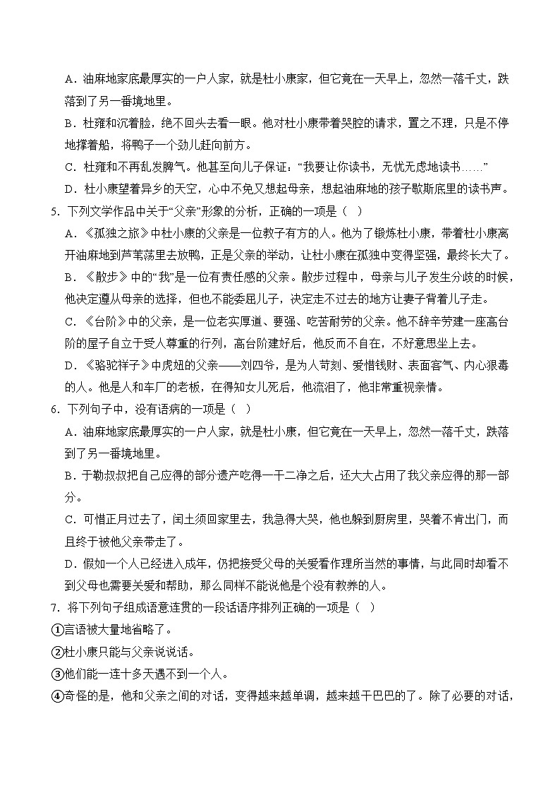 【核心素养】部编版语文九年级上册 第17课《孤独之旅》同步课件+同步练习02