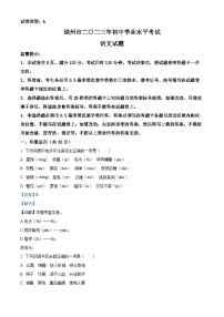 [语文]2023年山东省滨州市中考真题语文真题原题版+解析版