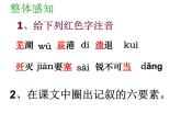 统编版八年级语文上册1.2人民解放军百万大军横渡长江课件