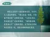 人教部编版初中语文八年级上册《15.白杨礼赞》 课件+教案