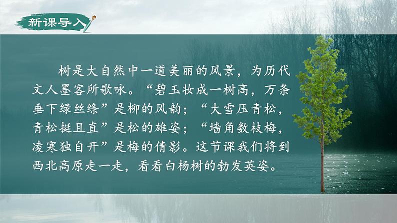 人教部编版初中语文八年级上册《15.白杨礼赞》 课件+教案02
