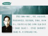 人教部编版初中语文八年级上册《15.白杨礼赞》 课件+教案