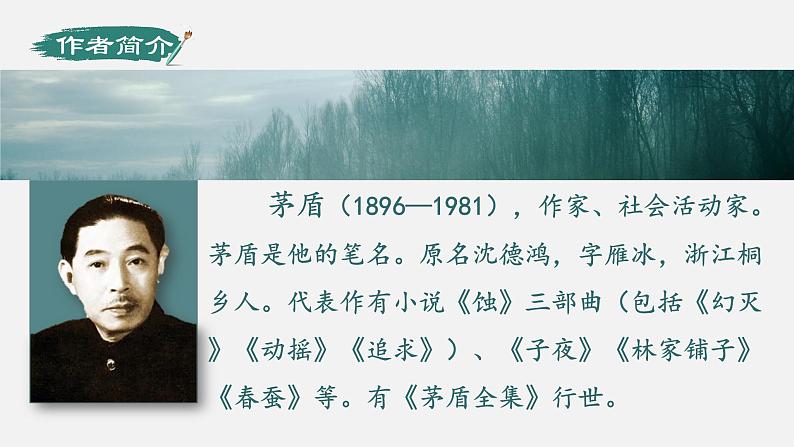 人教部编版初中语文八年级上册《15.白杨礼赞》 课件+教案04