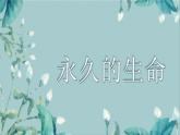 人教部编版初中语文八年级上册《16.散文二篇-永久的生命》 课件+教案