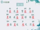人教部编版初中语文八年级上册《16.散文二篇-永久的生命》 课件+教案