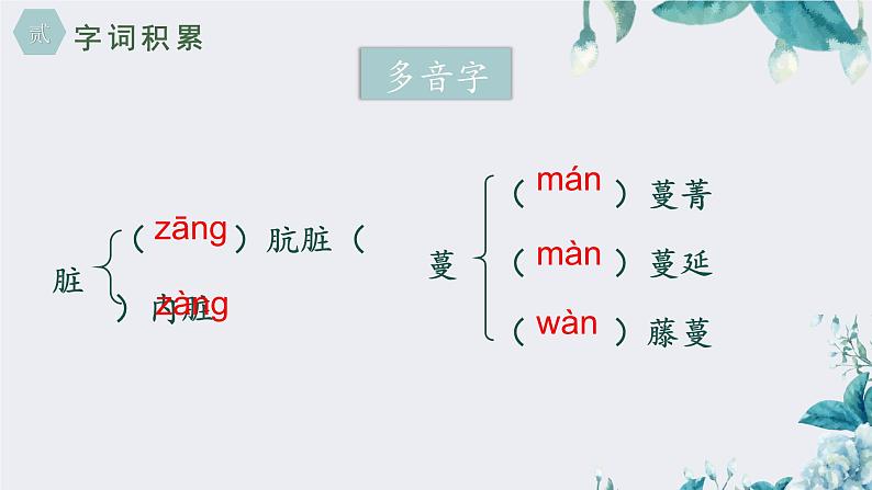 人教部编版初中语文八年级上册《16.散文二篇-永久的生命》 课件+教案05