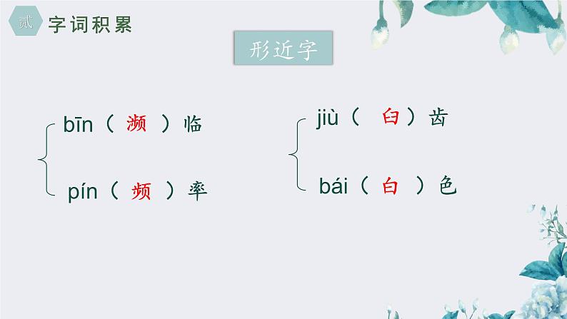 人教部编版初中语文八年级上册《16.散文二篇-永久的生命》 课件+教案06