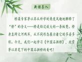 人教部编版初中语文八年级上册《18.中国石拱桥》 课件+教案