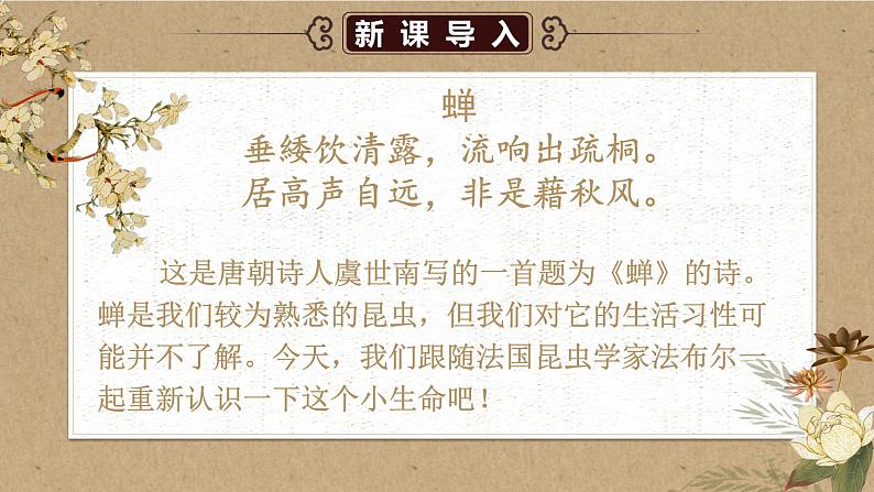 人教部编版初中语文八年级上册《21. 蝉》 课件第2页