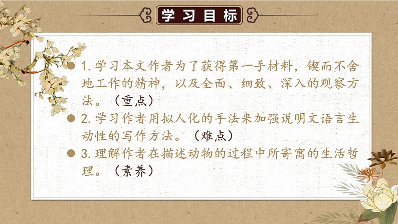人教部编版初中语文八年级上册《21. 蝉》 课件第3页
