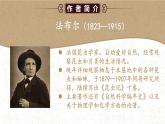 人教部编版初中语文八年级上册《21. 蝉》 课件+教案