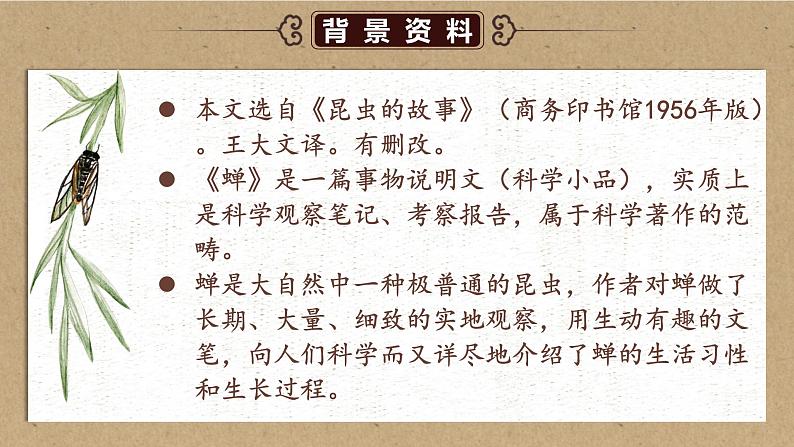 人教部编版初中语文八年级上册《21. 蝉》 课件第5页
