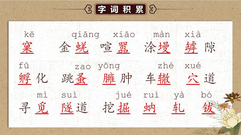 人教部编版初中语文八年级上册《21. 蝉》 课件第8页