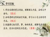 人教部编版初中语文八年级上册《17.昆明的雨》 课件+教案