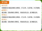 任務(wù)二 親近動(dòng)物，豐富生命體驗(yàn)（課件）-2024-2025學(xué)年七年級(jí)語(yǔ)文上冊(cè)同步備課課件（統(tǒng)編版2024）