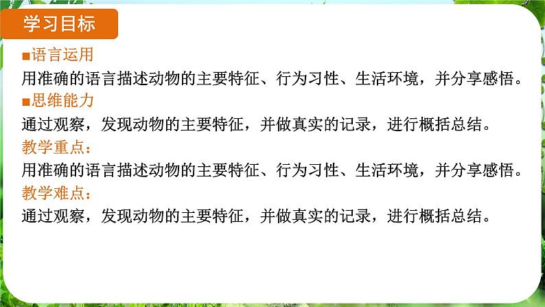 任务二 亲近动物，丰富生命体验（课件）-2024-2025学年七年级语文上册同步备课课件（统编版2024）02