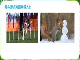 任務(wù)二 親近動(dòng)物，豐富生命體驗(yàn)（課件）-2024-2025學(xué)年七年級(jí)語(yǔ)文上冊(cè)同步備課課件（統(tǒng)編版2024）