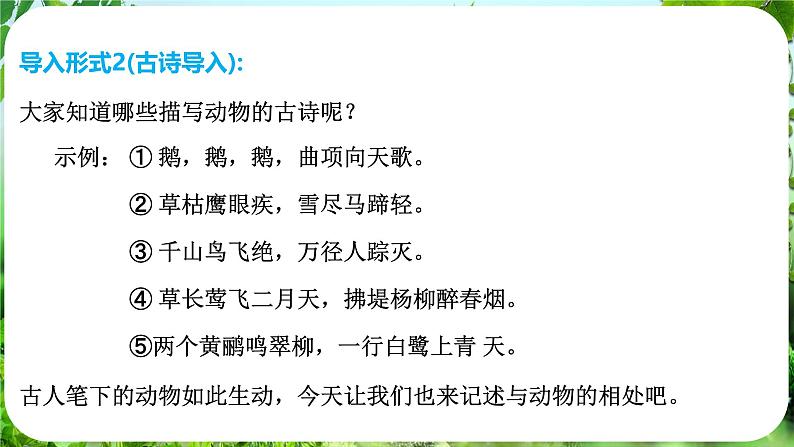 任务三 记叙与动物的相处（课件）-2024-2025学年七年级语文上册同步备课课件（统编版2024）04
