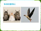 任务三 记叙与动物的相处（课件）-2024-2025学年七年级语文上册同步备课课件（统编版2024）