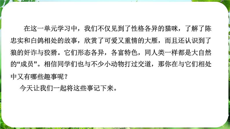 任务三 记叙与动物的相处（课件）-2024-2025学年七年级语文上册同步备课课件（统编版2024）07